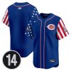 Men’s Cincinnati Reds 2025 Independence Day Vapor Premier Limited Jersey – All Stitched